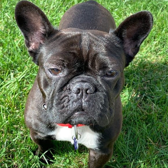 ❤️Welcome! I’m Matilda!!❤️ - Picture 8 of 12